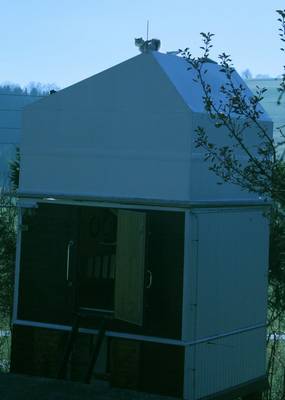 katzen-ansitz_1 grosses Bild in Orginalaufl&ouml;sung