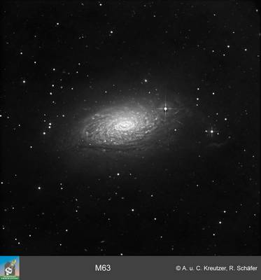 m63 grosses Bild in Orginalaufl&ouml;sung