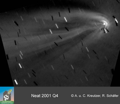 Orginalbild oder Video von neat_q4_rg