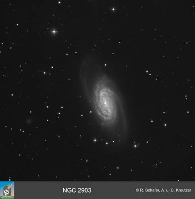 ngc2903 grosses Bild in Orginalaufl&ouml;sung