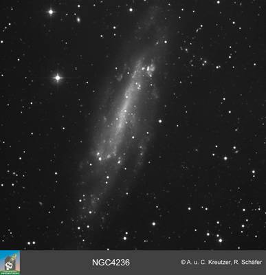 ngc4236 grosses Bild in Orginalaufl&ouml;sung