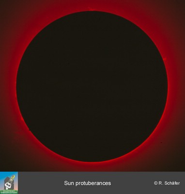 Bild/Video in Orginalaufl&ouml;sung