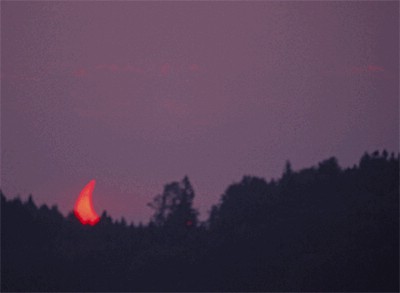 Bild/Video in Orginalaufl&ouml;sung