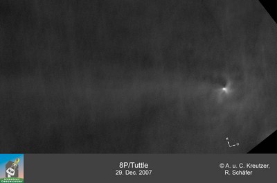 Orginalbild oder Video von tuttle_2