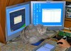 the two screens